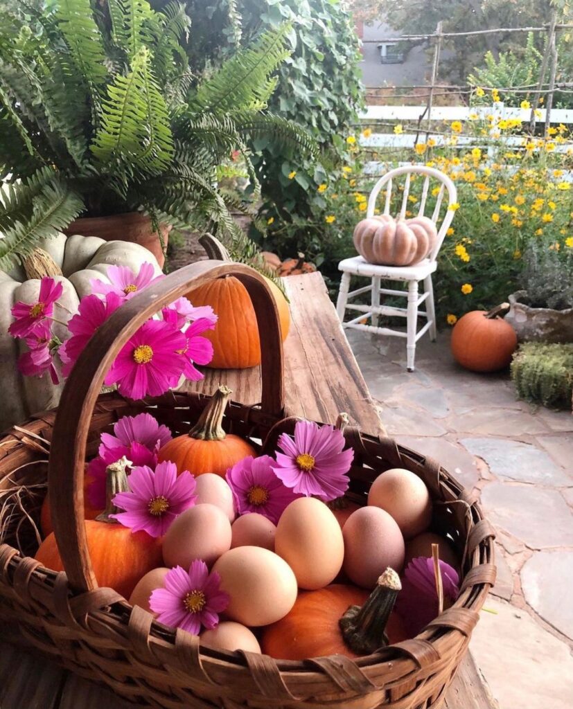 A basket of fresh eggs provided by our backyard chickens.