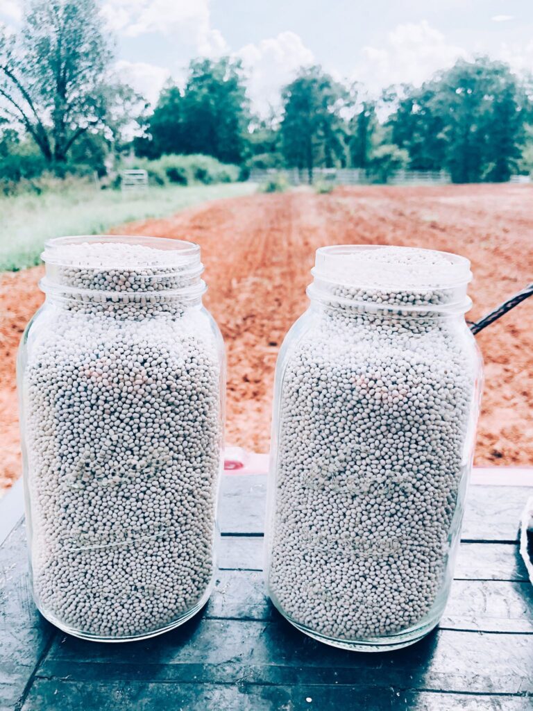 Two Jars of Pelleted Crimson Clover Seed