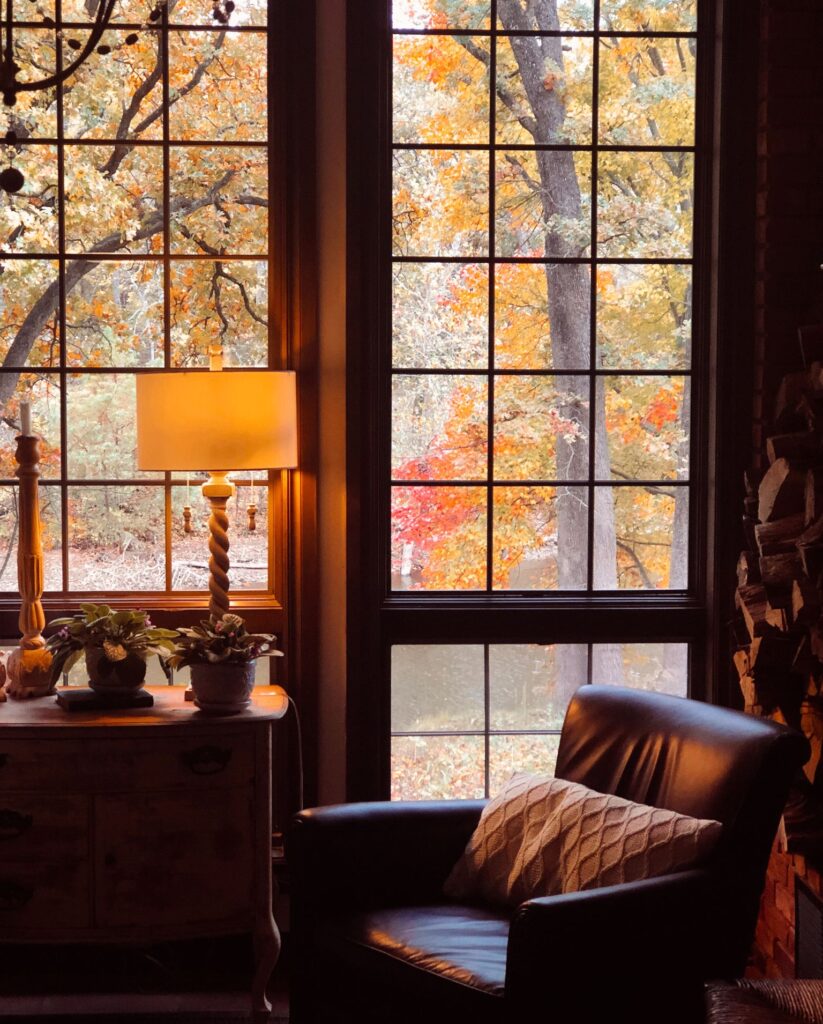 Country home backyard view from inside