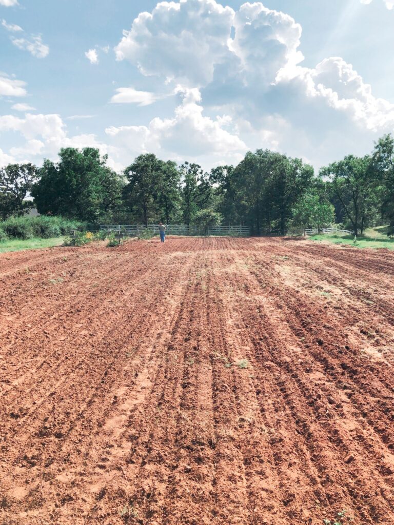 Field recently prepped to seed