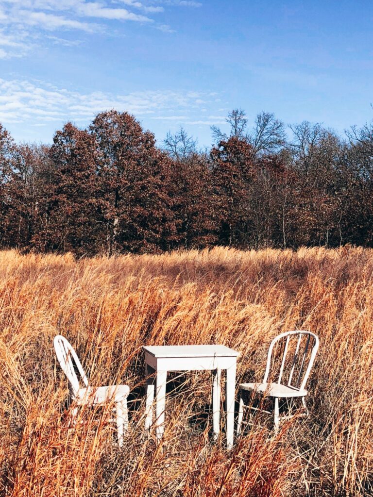 Vintage table and two chairs in a field.