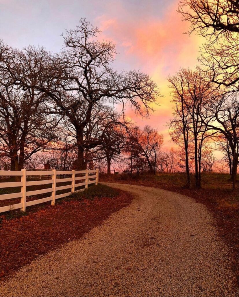 Pink sky during winter