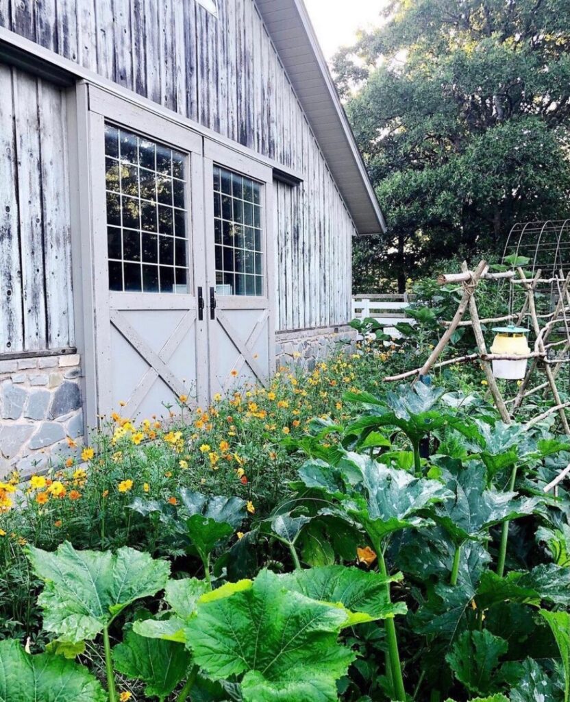 vegetable garden and barn