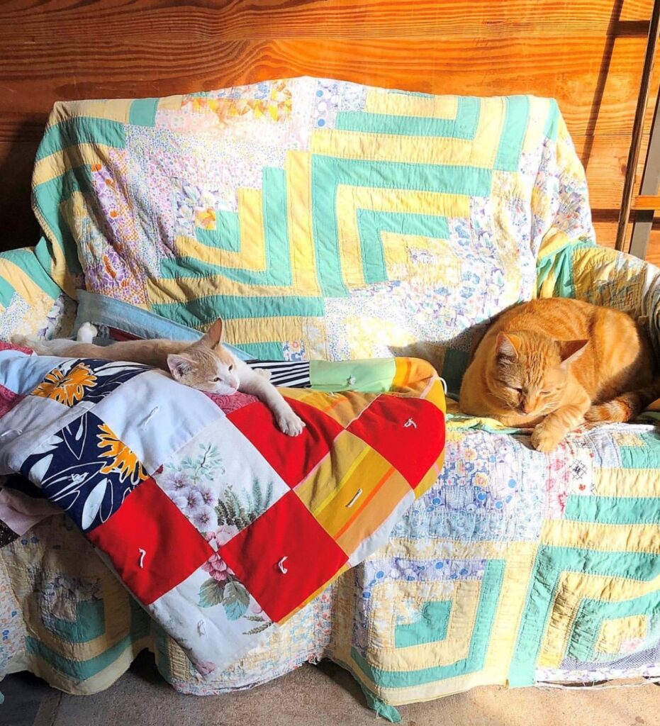 Quilts and Kitties