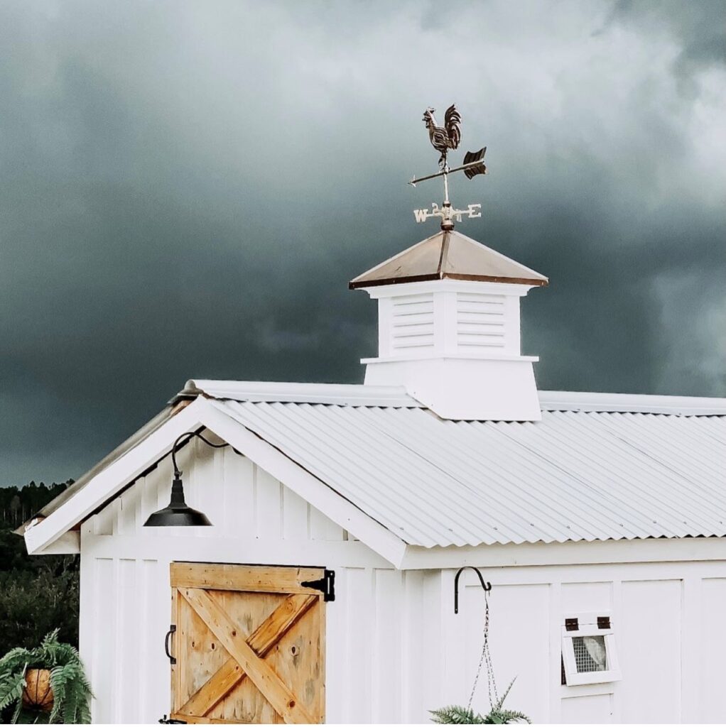 Chicken Coop Inspiration by Kirkland Meadows Farm