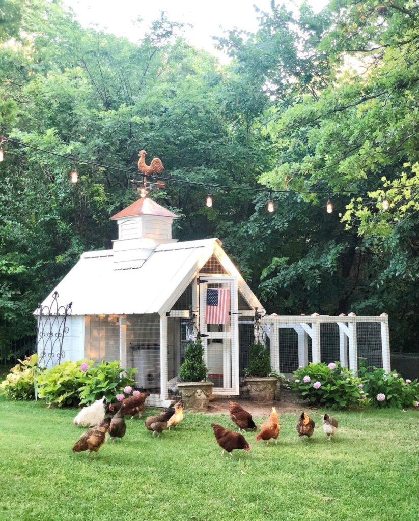 Custom Chicken Coop at Elevengables