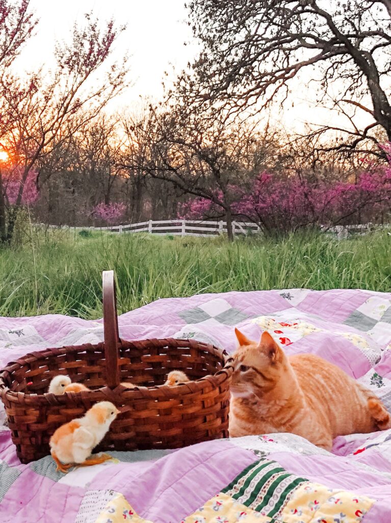 A vintage quilt and basket