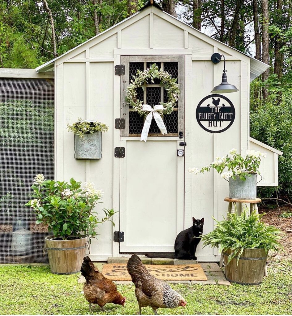 The Fluffy Butt Hut: Meeghan's DIY Chicken Coop