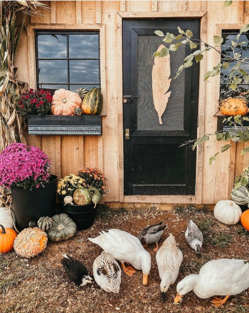 Beautiful Flock at Dolled Up and Muddy