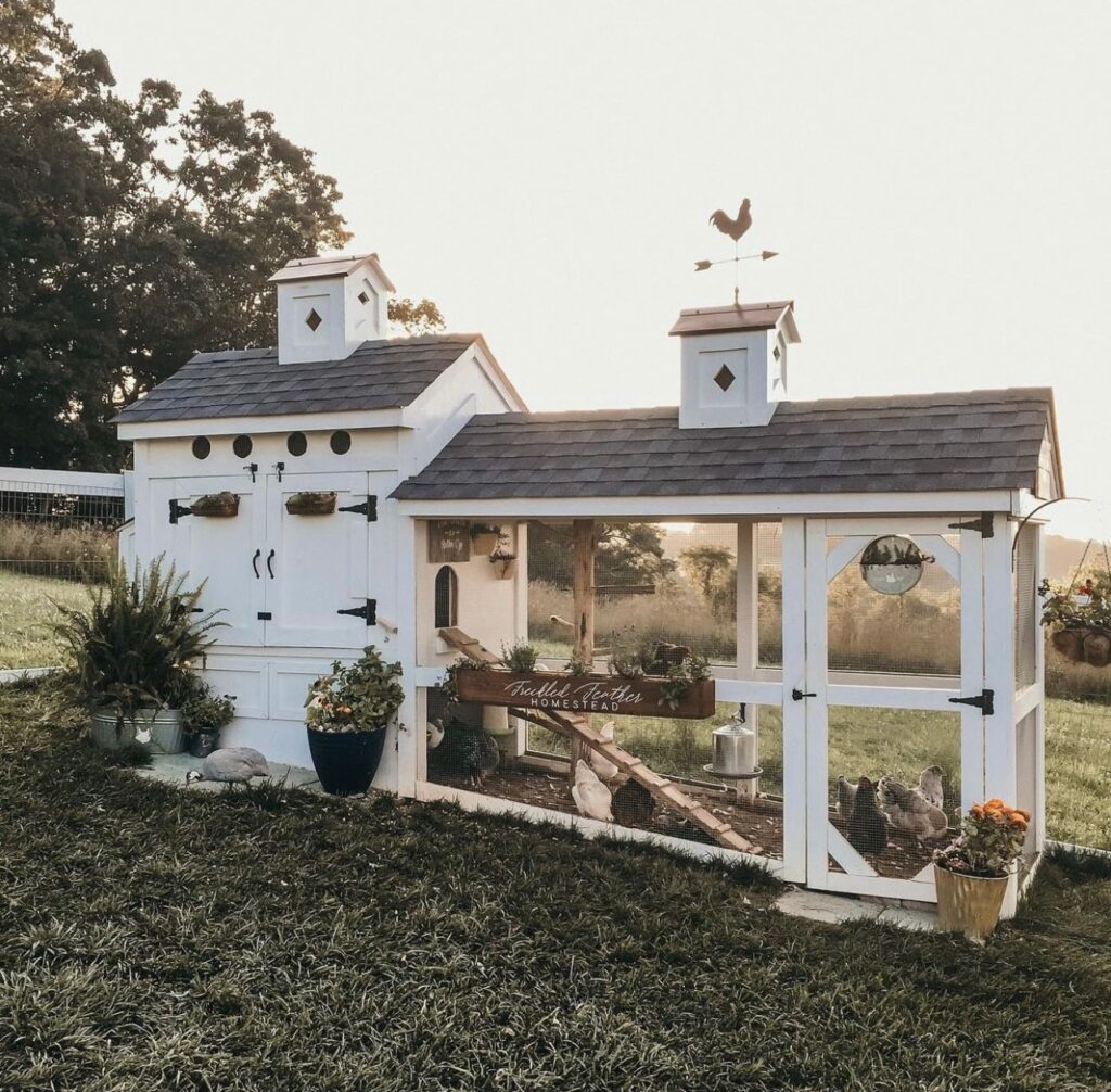 fancy chicken coop