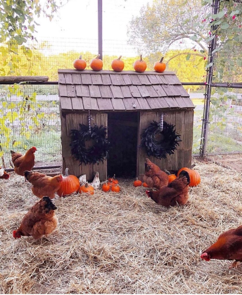 DIY Chicken Hut decked out for Halloween