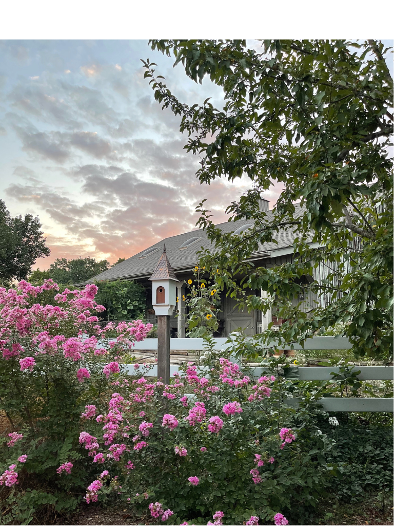 The Crape Myrtles and my Copper Roof Birdhouse are perfectly paired in our Country Garden