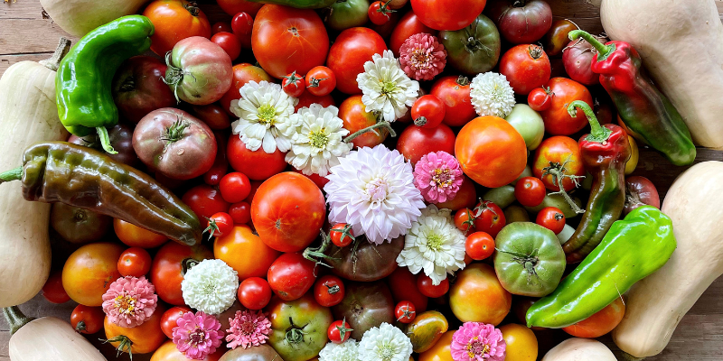 A collection of flowers and vegetables from our garden