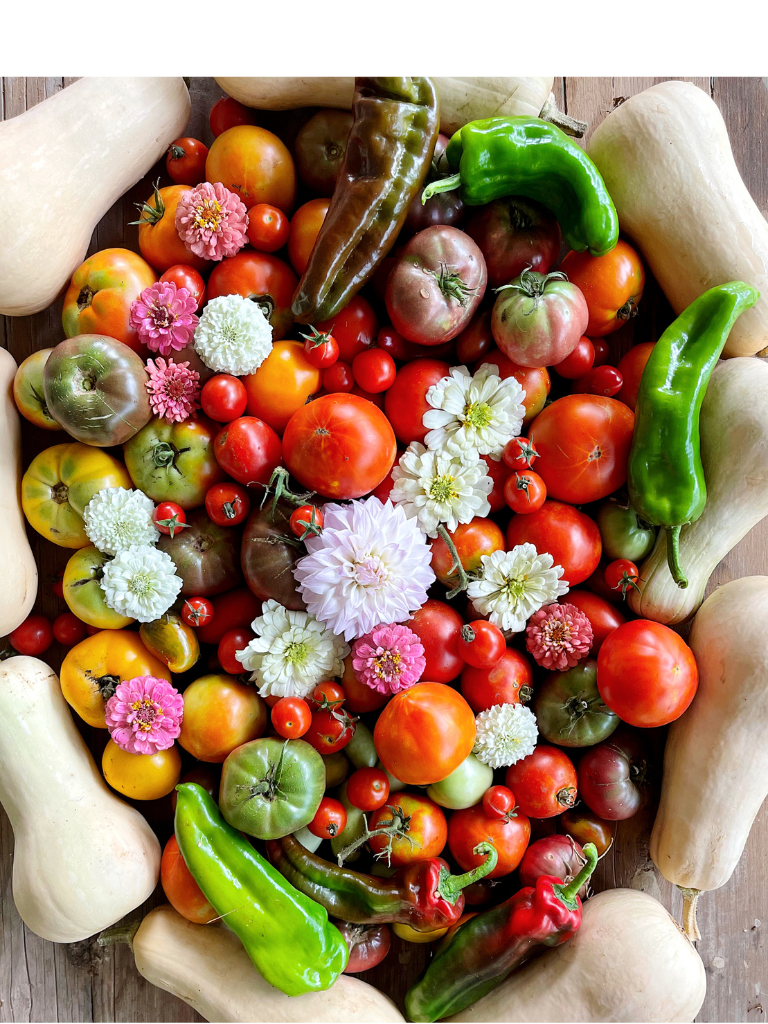 September Harvest by the Reluctant Gardener