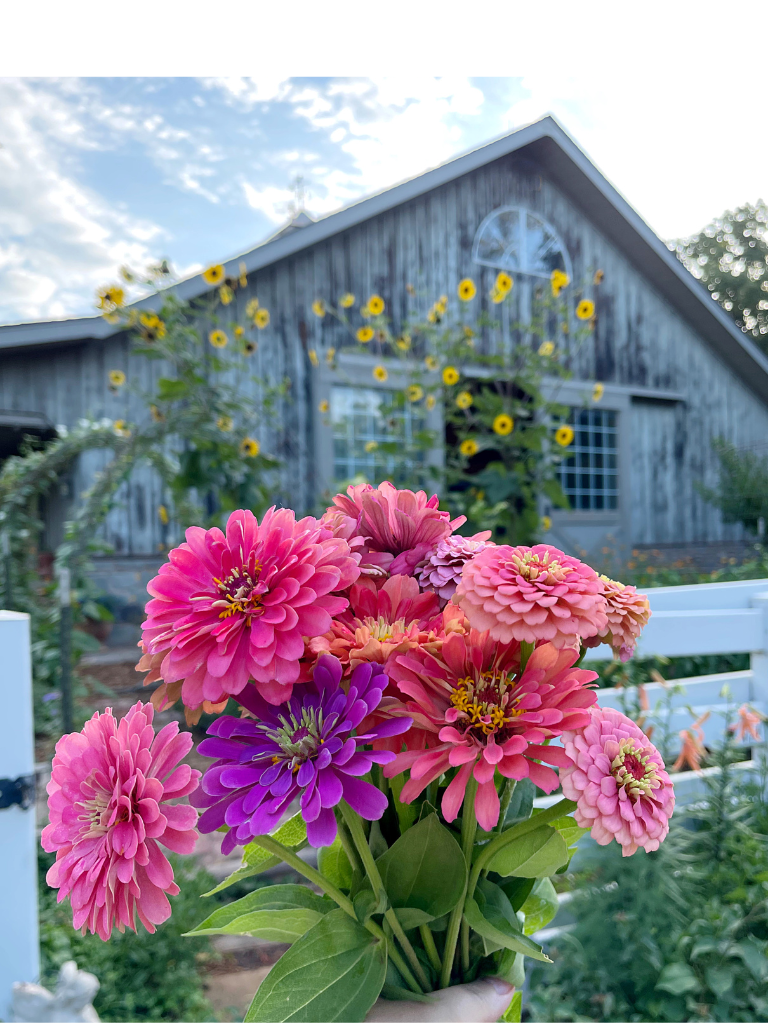 A zinnia bouquet from our country garden.