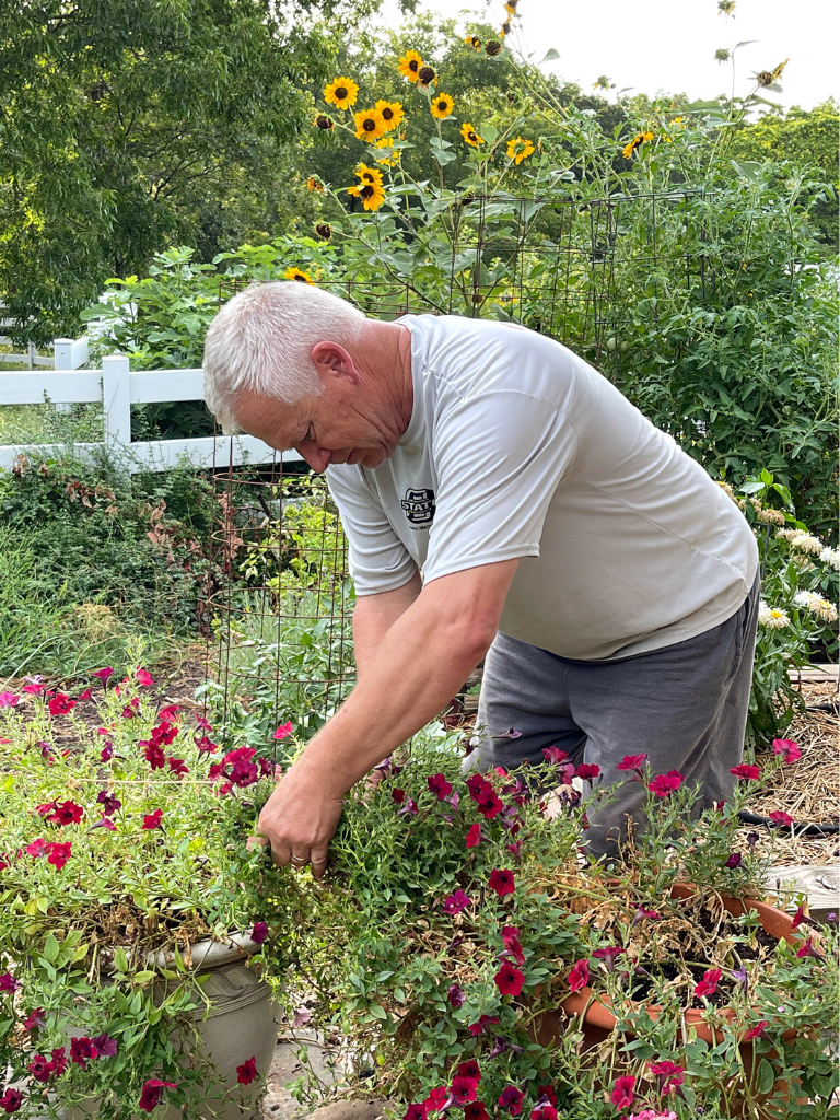 It's haircut time for our Wave Petunias