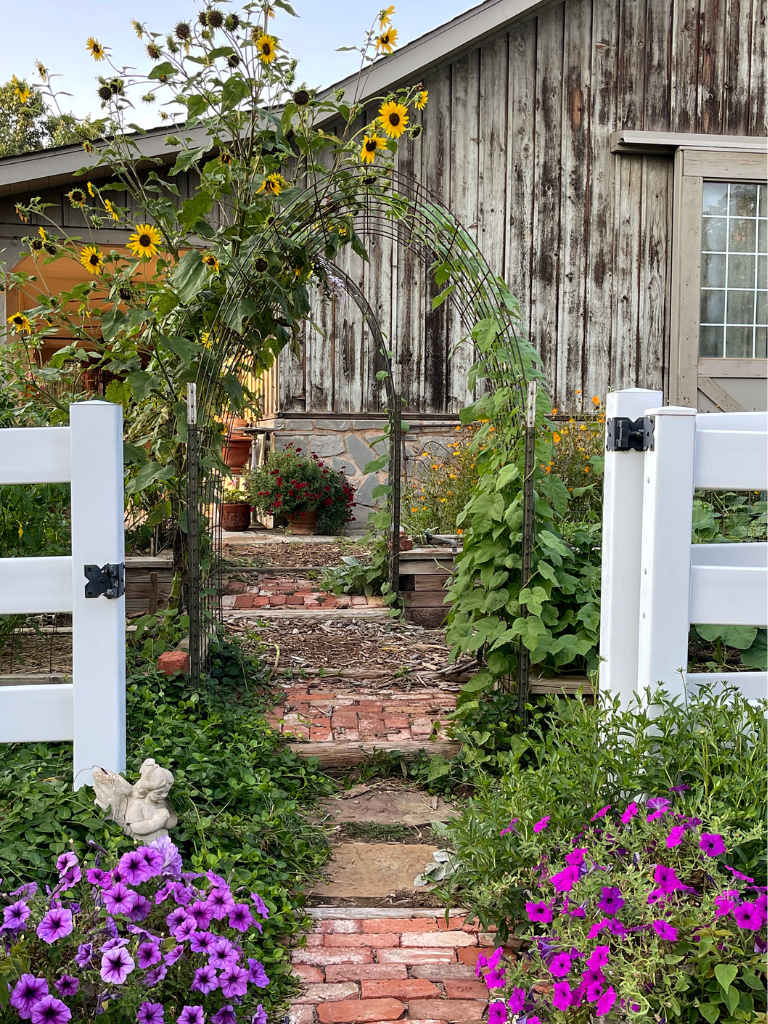 The entrance to our colorful summer garden, the perfect sunny spot for Wave Petunias