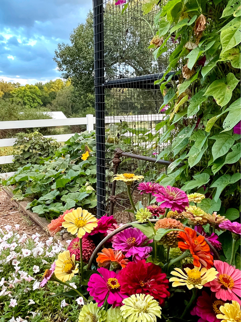 Evenings in the garden are good for the soul!