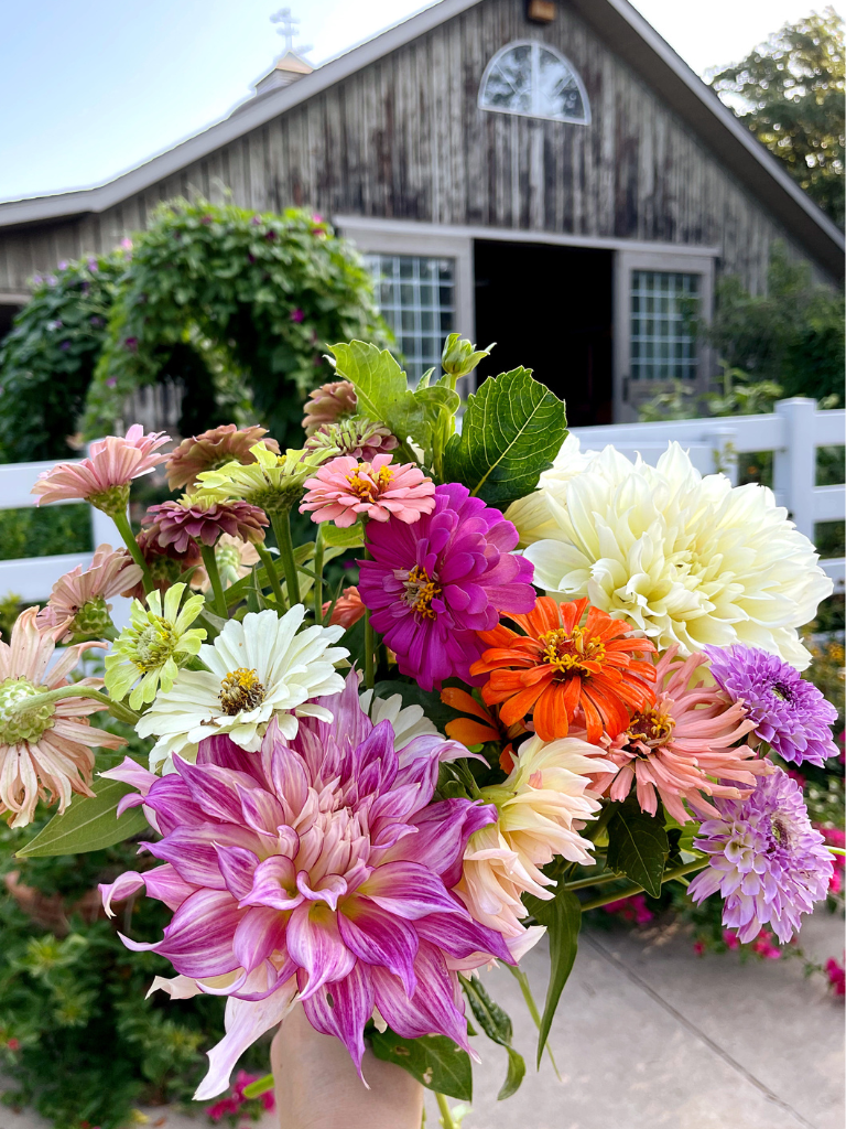 A beautiful bouquet from my cut flower garden.