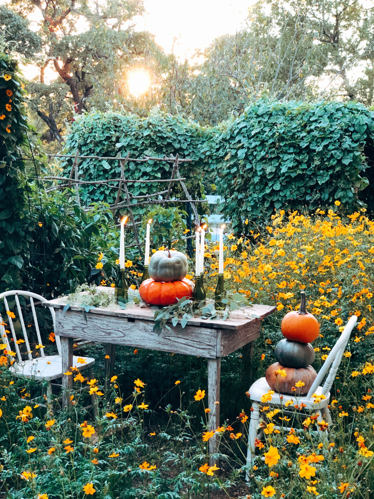 As a retiree you have time to head outside and create a Cozy fall picnic for two any day of the week.