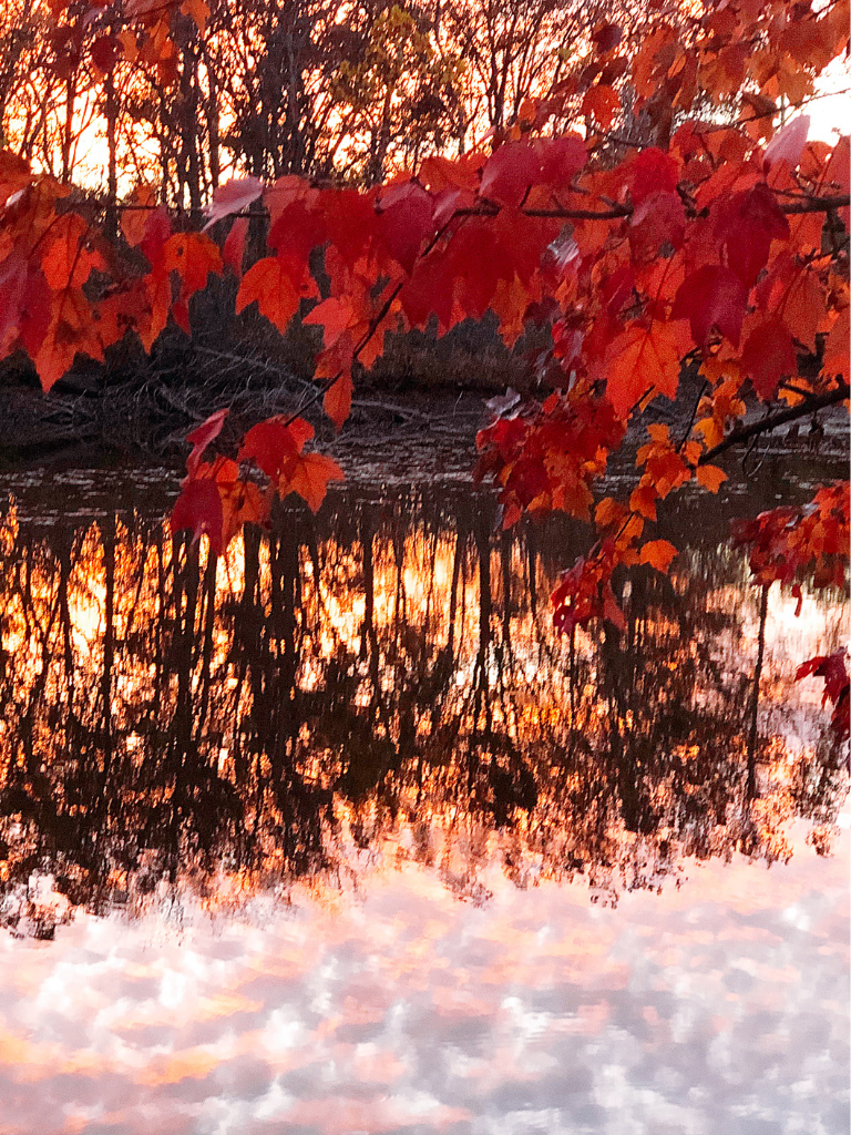 Let the colors of fall inspire you to create a Cozy Master Suite.