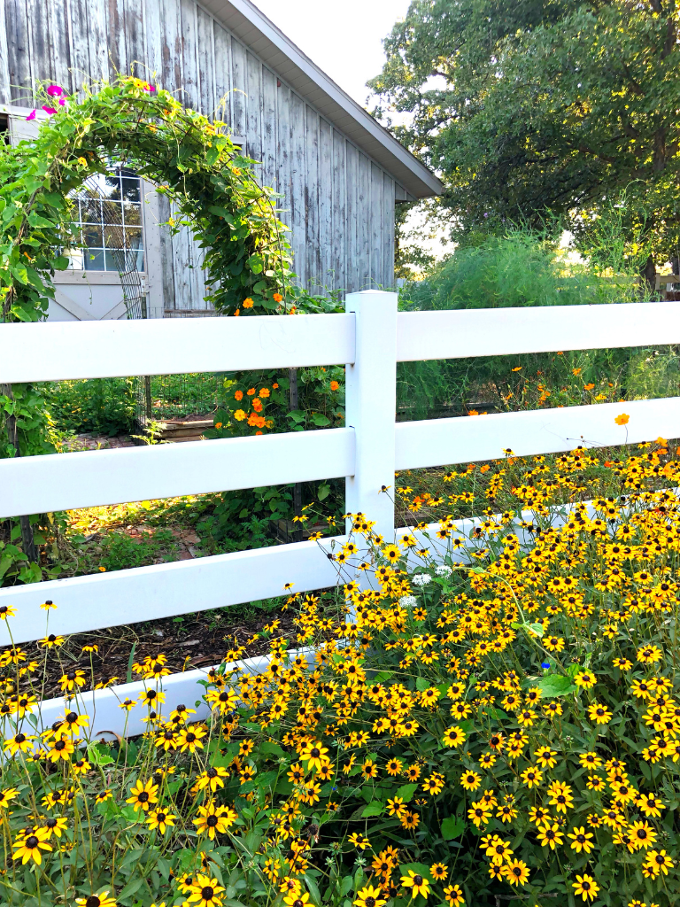 Our barn is surrounded by a vegetable garden and lots of summer blooms.