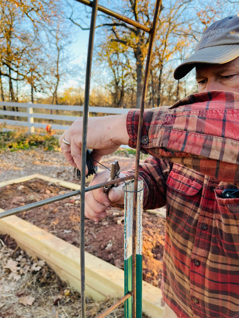 Securing the fence posts to the livestock panel.