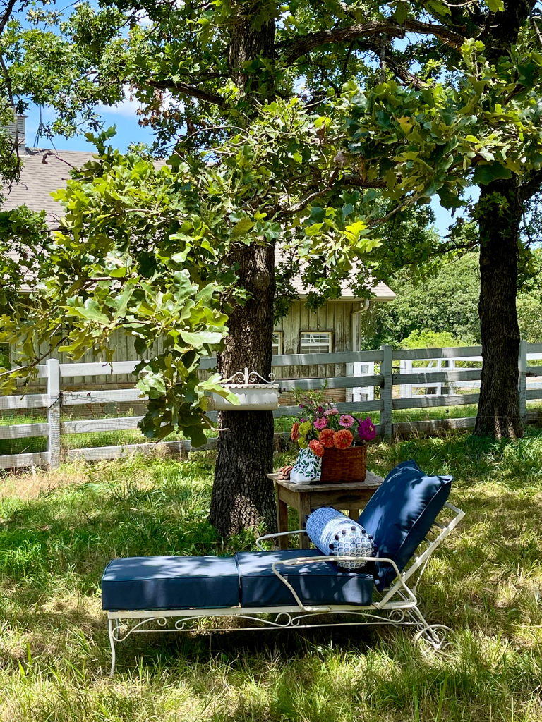 A Favorite Spot in the Garden