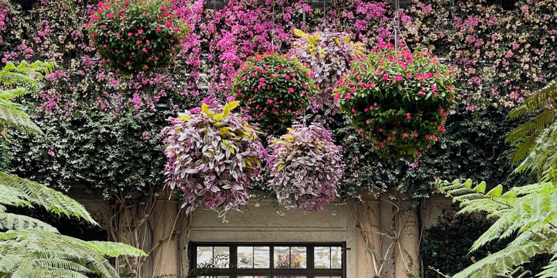 a beautiful summer tour of longwood gardens