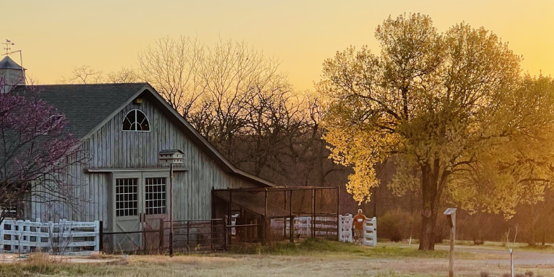 a man outside enjoying retired life at home in front of his barn